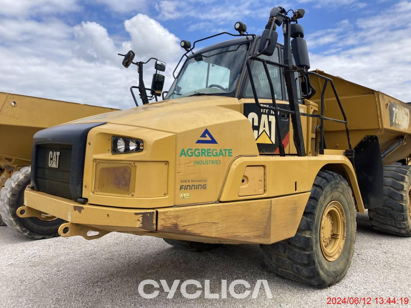 Dumpers e caminhões articulados  730C TFF01331 - 18