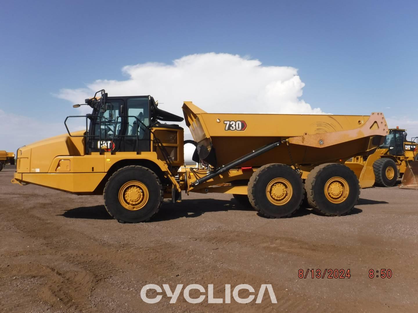 Dumper e autoarticolati  730-04TG 3T301402 - 11