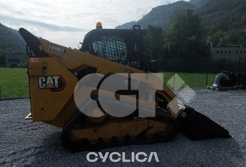 Skid steers  289D3 BT900642 - 1