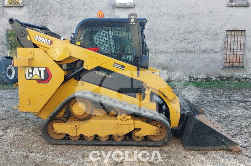 Skid steers  289D3 BT900691 - 1