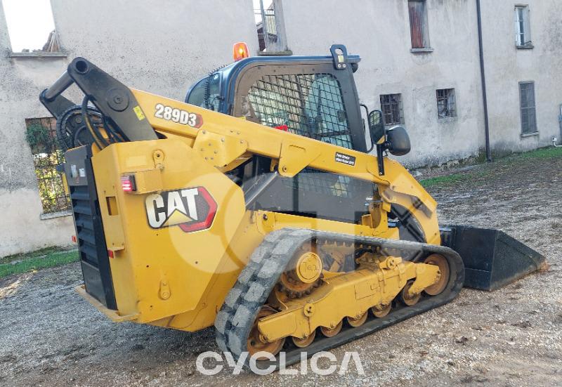 Skid steers  289D3 BT900691 - 2