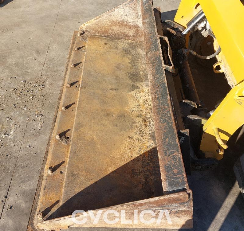 Skid steers  259D3 TE900546 - 9